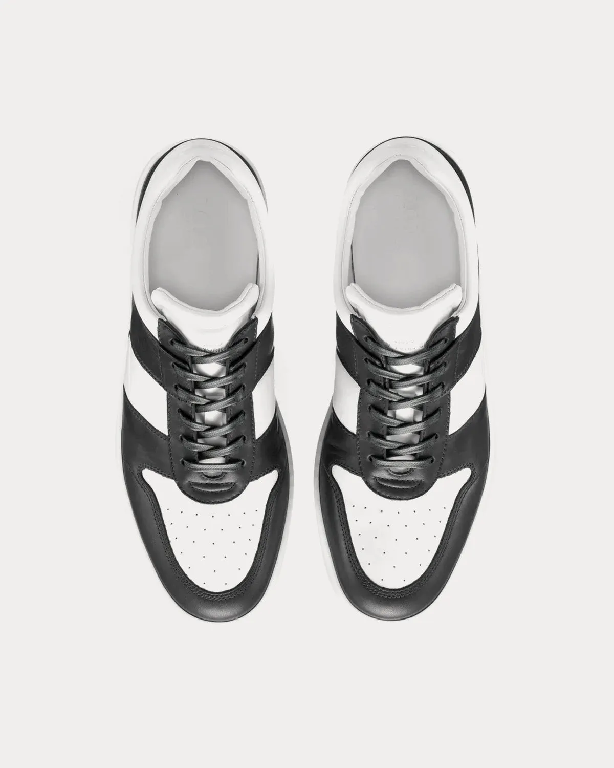 Aventino Panda Low Top Sneakers